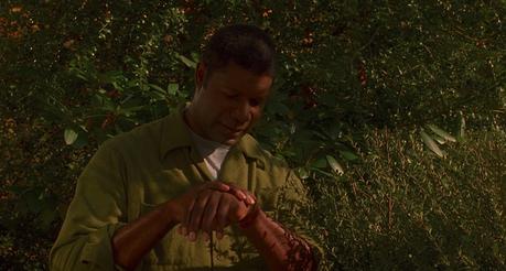 Dennis Haysbert’s Yellow Plaid Coat in Far From Heaven Dennis Haysbert’s Yellow Plaid Coat in Far From Heaven
