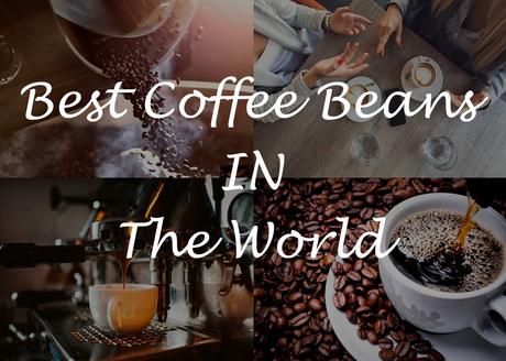 Top 10 Best Coffee Beans In The World [Reviewed October 2019]