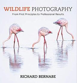 Wildlife-Photography-Book-Richard-Bernabe