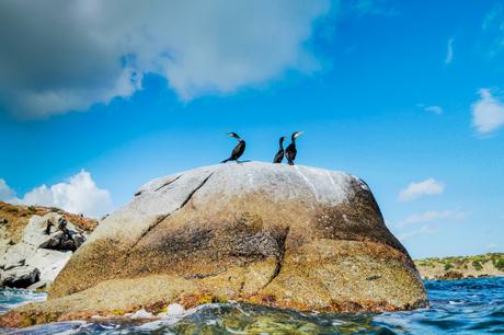 Walk on ancient rocks