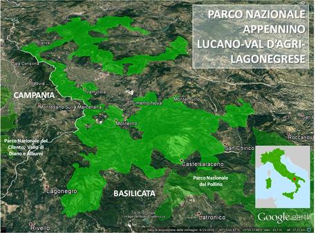 The fauna of the Apennine-Lucan park, a vast system of protected areas.