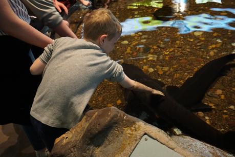 10 things to do with kids in Chicago
