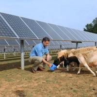 Solar Farm Powers 900 Homes