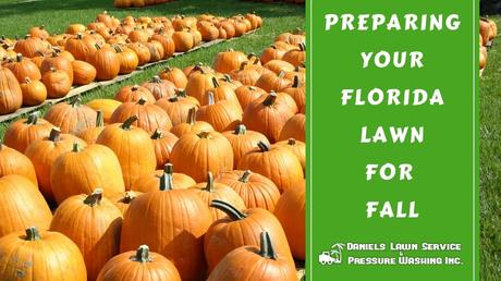 Preparing Your Florida Lawn for Fall