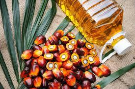 When Malaysian Palm Oil goes the Bollywood Way