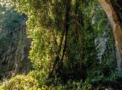 More Greenery, Below Grade [with Tiny People]