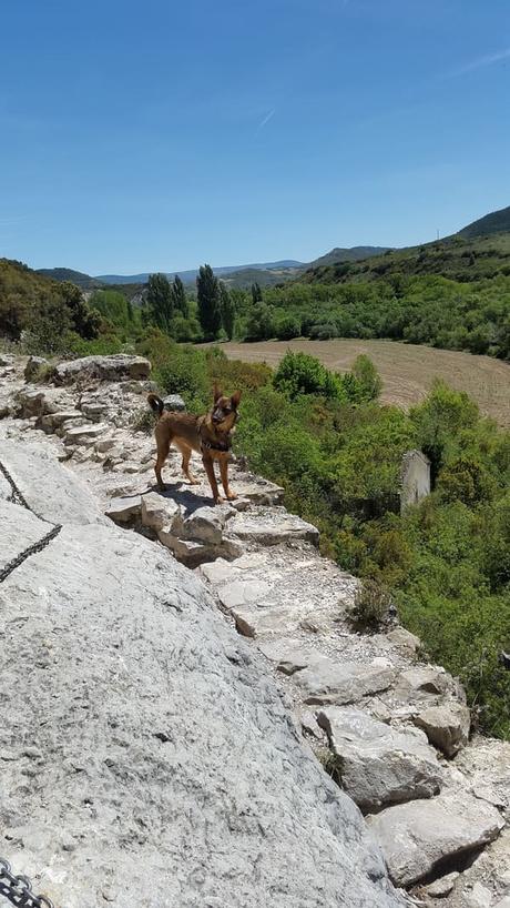 Natural Reserve Canyon of Lumbier – Navarra – Spain