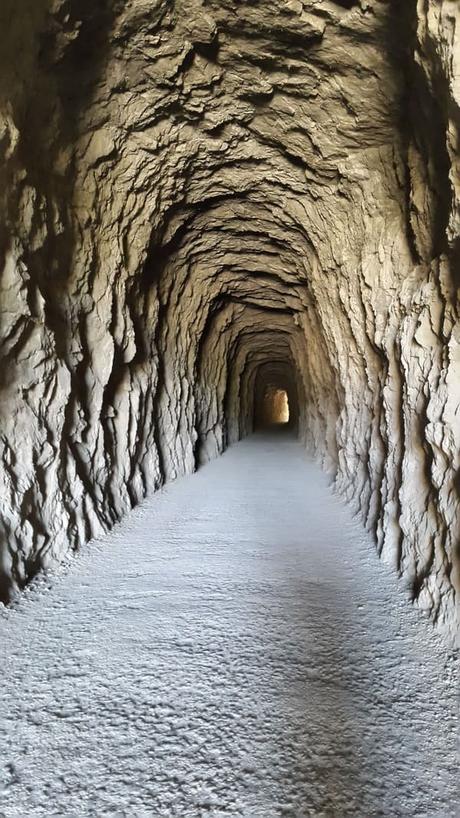 Natural Reserve Canyon of Lumbier – Navarra – Spain