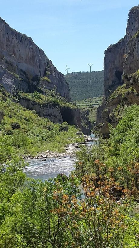 Natural Reserve Canyon of Lumbier – Navarra – Spain