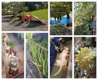 Fresh Produce at Lim Chu Kang