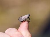 Five Princes (and Dogs) Serendip Were Sitting Shore Campsite Northern Jersey...