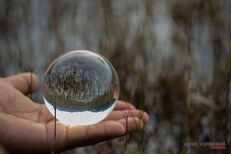 Crystal Ball Sphere Refraction Photography