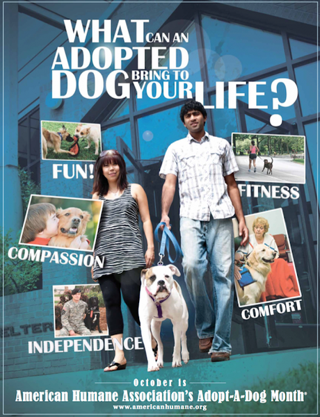 A poster from a previous 'Adopt-A-Dog Month' campaign