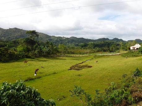 Cebu Highlands Trail Segment 5