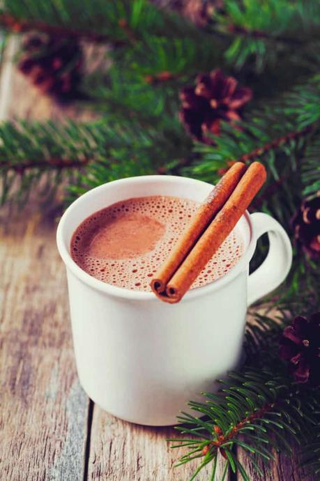 Healthy Hot Chocolate with Cinnamon