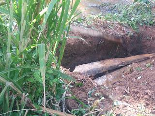 Ritual: Decomposing Woman’s Body Discovered In Osun River (See Graphic Pictures)