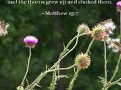 What Your First Reaction Hearing Gospel?