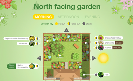 Planting Guide for Different Garden Aspects