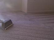 Choose Best Steam Cleaning Devices Your Carpets