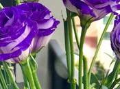 Things Consider When Want Flowers