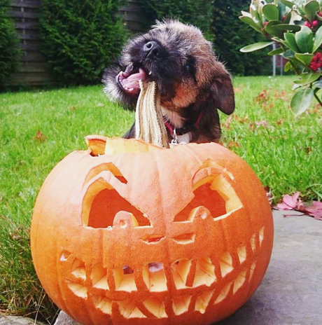 5 Things To Do This Autumn