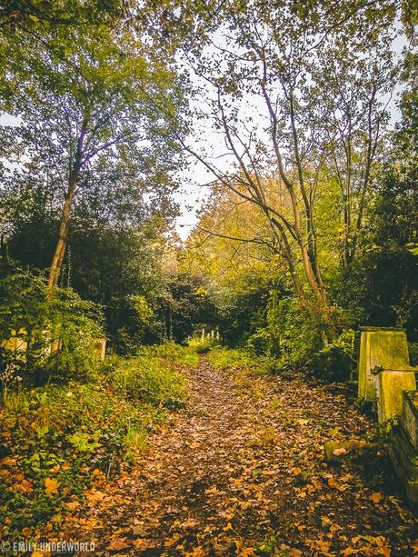 5 Things To Do This Autumn