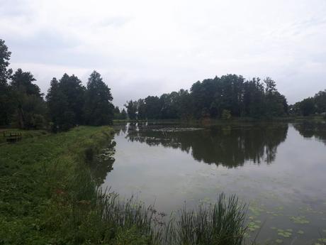 Touring UNESCO World Heritage Sites: A Guide to Poland’s Białowieża Primeval Forest Touring UNESCO World Heritage Sites: A Guide to Poland’s Białowieża Primeval Forest