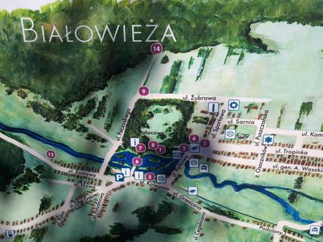 Touring UNESCO World Heritage Sites: A Guide to Poland’s Białowieża Primeval Forest Touring UNESCO World Heritage Sites: A Guide to Poland’s Białowieża Primeval Forest