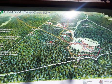 Touring UNESCO World Heritage Sites: A Guide to Poland’s Białowieża Primeval Forest Touring UNESCO World Heritage Sites: A Guide to Poland’s Białowieża Primeval Forest