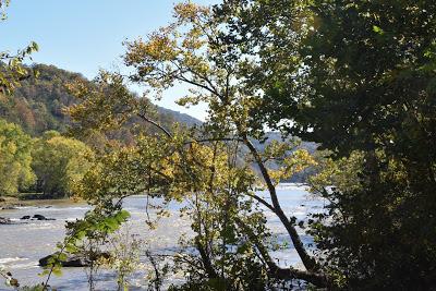 Autumn Road Trip! (To the Grocery Store)