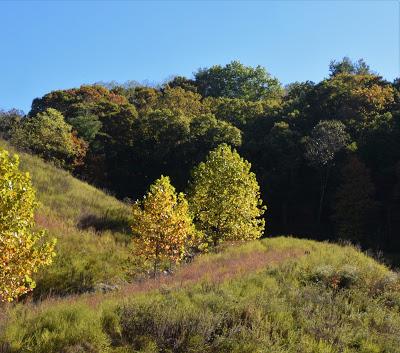 Autumn Road Trip! (To the Grocery Store)