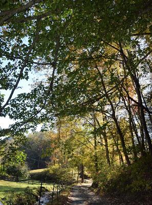 Autumn Road Trip! (To the Grocery Store)