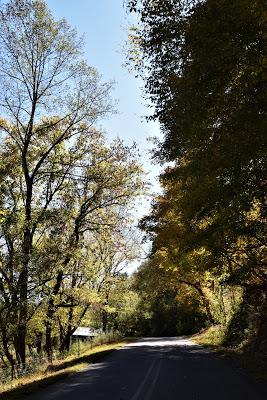 Autumn Road Trip! (To the Grocery Store)