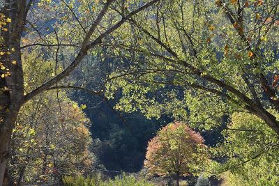 Autumn Road Trip! (To the Grocery Store)