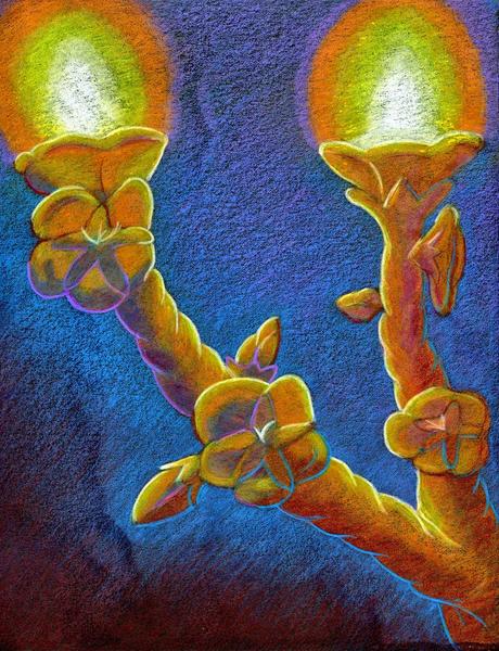 The Beauty of the Almond Tree