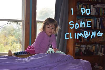 Despite a Lingering Cold, Josie Gets Her Work Done