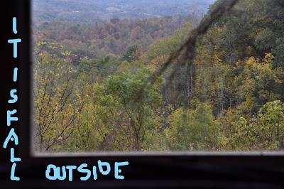 Despite a Lingering Cold, Josie Gets Her Work Done