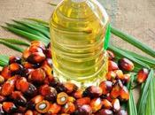 Traders Shun Palm from Malaysia Support Pakistan