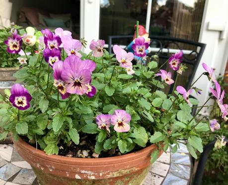 Six on Saturday 26/10/2019