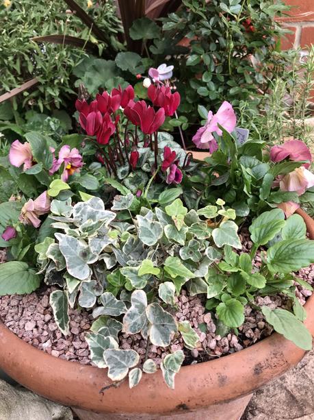 Six on Saturday 26/10/2019