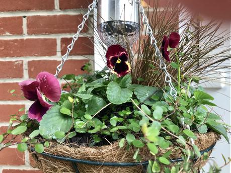 Six on Saturday 26/10/2019