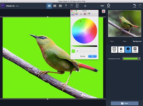 Background Color in Topaz Mask AI