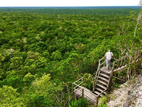 Archaeologist Richard Hansen looks out over the Maya Biosphere he hopes to develop from a tower at El Mirador.