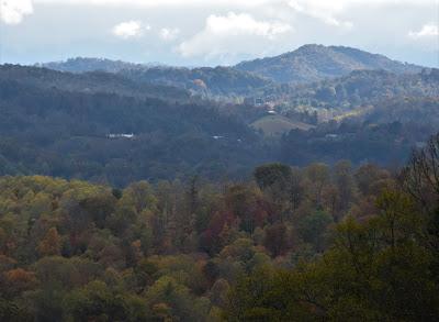 In  Autumn's Cathedral