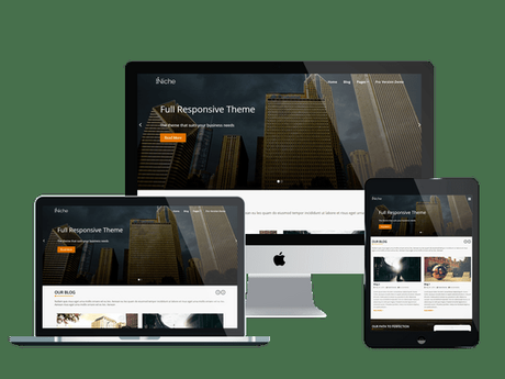Niche Vs Multipurpose Themes – Which One Is Best For Your Upcoming Project