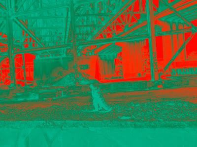 Three Godzillas in Jersey City