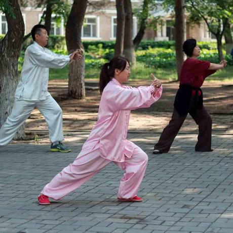 Tai Chi Chuan: the true millenary history