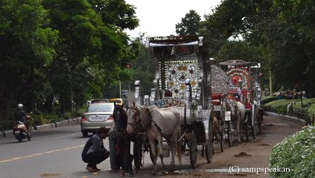 imagine a cart drawn by Zebra on the busy roads of metropolis !!