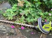 Product Review Ryobi Cordless Hedgetrimmer Plus System