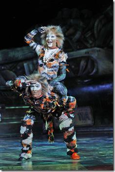 Review: Cats (Broadway in Chicago)